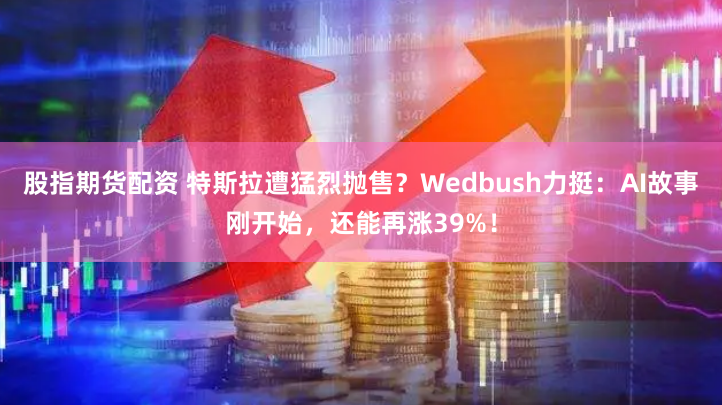股指期货配资 特斯拉遭猛烈抛售？Wedbush力挺：AI故事刚开始，还能再涨39%！