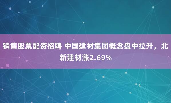 销售股票配资招聘 中国建材集团概念盘中拉升，北新建材涨2.69%
