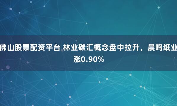佛山股票配资平台 林业碳汇概念盘中拉升，晨鸣纸业涨0.90%
