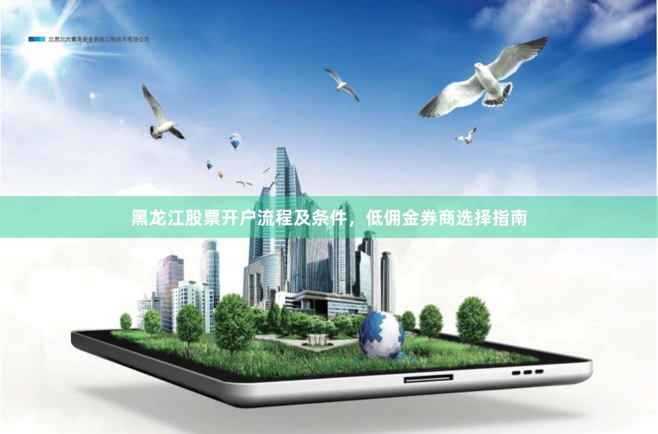 黑龙江股票开户流程及条件，低佣金券商选择指南